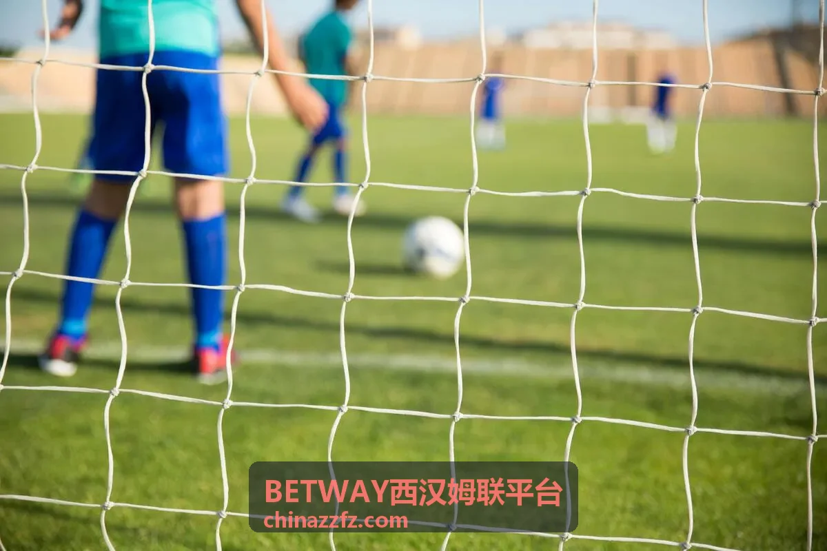 BETWAY西汉姆联平台体育直播
